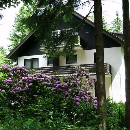 Haus Hirschmann Hotell Goslar Eksteriør bilde