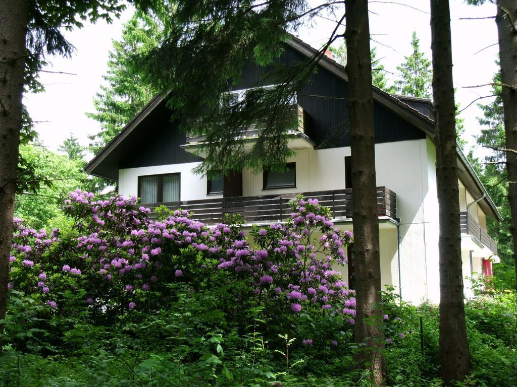 Haus Hirschmann Hotell Goslar Eksteriør bilde